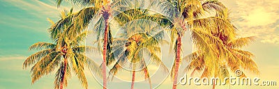 Group of palm trees, vintage style summer panorama, travel concept Stock Photo