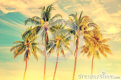 Group of palm trees, vintage style, summer travel concept Stock Photo