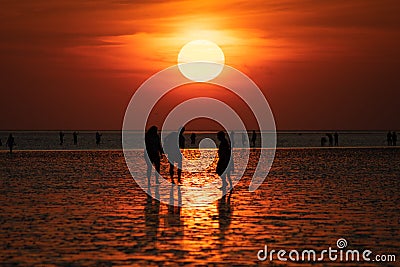 A group of people on the beach in the reflektion of the sunset off Buesum in the Wadden Sea. Stock Photo