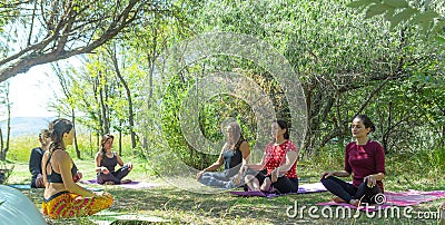 Group of people doing yoga exercise in the park, womans relaxing in the park Stock Photo