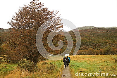 Group of People Hiking Amongst Scenic Fall Foliage in Tierra del Fuego National Park, Patagonia, Argentina, South America Stock Photo