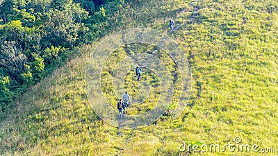 group of people hiking in landscape green glass of high hill mountain in elevation view Editorial Stock Photo