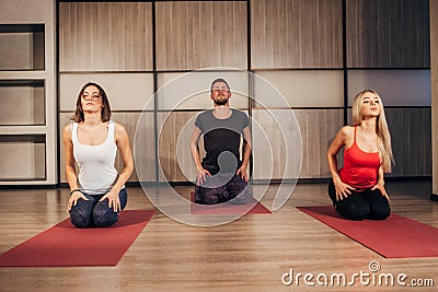 Group of people making yoga exersice Stock Photo