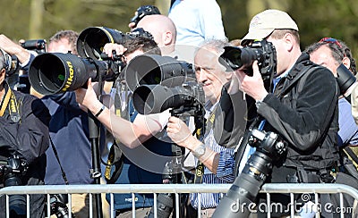 Group of Photographers Editorial Stock Photo