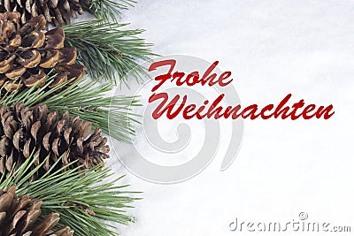 Group of pine trees and some branches with text in German `Frohe Weihnachten` in white snow background Stock Photo