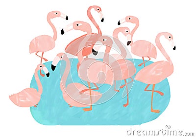 Group of pink flamingos Stock Photo
