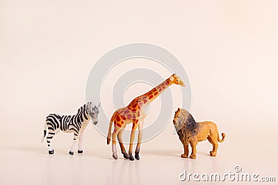 Group of plastic toy animals, Elephant, Tiger, Lion and Cheetah - Miniature plastic toy animals Stock Photo