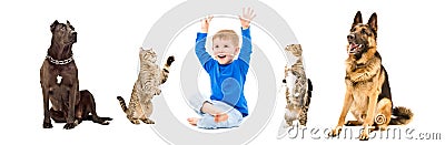 Group of a playful pets and happy child together Stock Photo