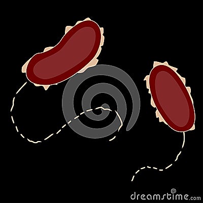 Group of Proteobacterias on black background, vector illustration Vector Illustration