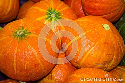 Group of Pumpkin Stock Photo