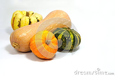 Still life of various types of pumpkins over white Stock Photo