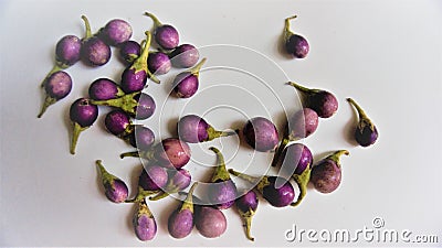 A group of purple eggplants are nutritious. Stock Photo