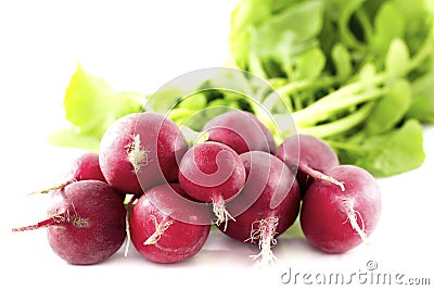 Group of red radishes Stock Photo