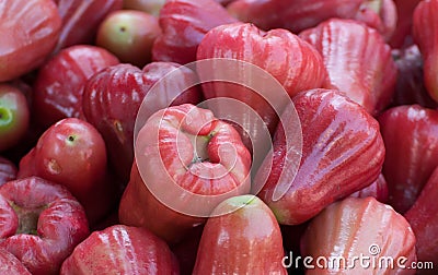Group of Red rose apple Stock Photo