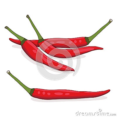 Group of Red Thai chili peppers. Cartoon style. Vector Illustration