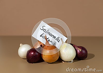 A group of red, yellow and white onions. Blank with the inscription Salmonella bacteria. Outbreak infection linked to Stock Photo