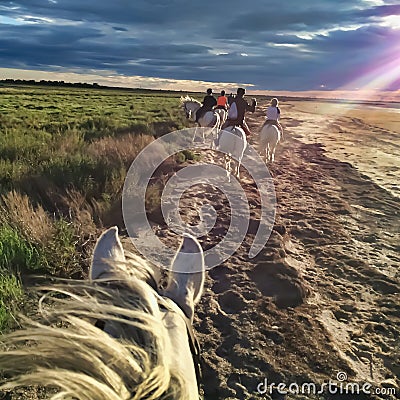 Horseback riding on beach at sunset, Camargue, France Editorial Stock Photo