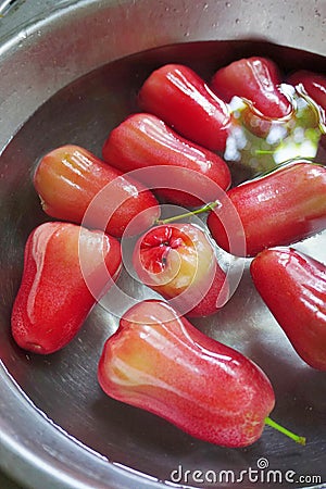 Group of rose apple washing in basin, Close up shot Stock Photo