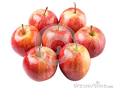 A Group Of Royal Gala Apple IX Stock Photo