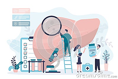 Group of scientists examine liver. Doctors select treatment for diseased organ. Concept of hepatology, medical research Vector Illustration