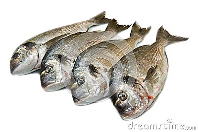 Group of sea bream Stock Photo