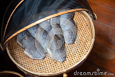 Group set of Sun dried gourami fish on bamboo basket. Salted gourami fish for food preservation is favorite delicious Thai Stock Photo