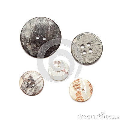 Group Shell Buttons isolate on white background. Stock Photo