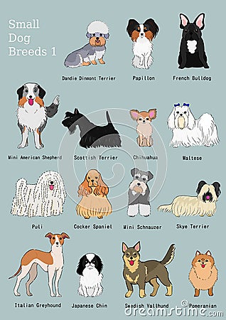Group of small dogs breeds hand drawn chart Vector Illustration