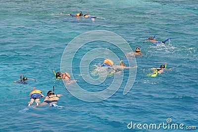 Group snorkeling Stock Photo