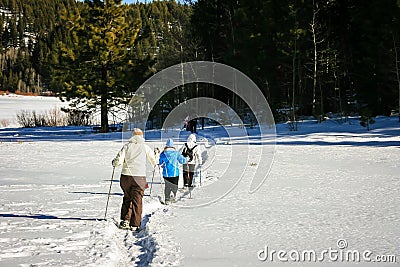 Snow shoers heading into the woods Editorial Stock Photo