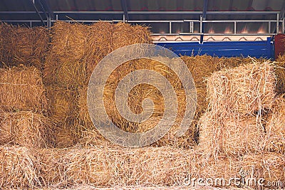 Group of straw bales inside of steel barn in livestock farm, front view with copy space Stock Photo