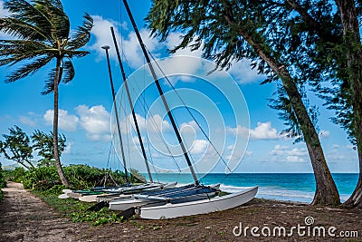 Group of three catamarans framed by trees on Waimanalo Beach, Hawaii Stock Photo