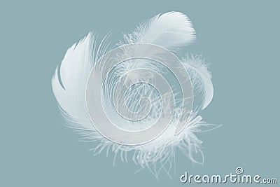 Group of Three Feathers Floating in The Air. Soft and Light Feather. Stock Photo