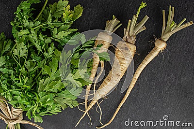 White parsley root on grey stone Stock Photo