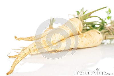 White parsley root isolated on white Stock Photo