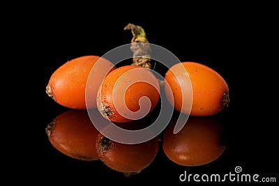 Sea buckthorn berry isolated on black glass Stock Photo