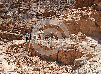 Group of the tourists Stock Photo