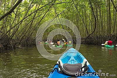Group of tourists kayaking in the mangrove jungle of Krabi Editorial Stock Photo
