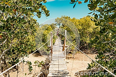 A group of tourists walking on the Mangrove boardwalk in Mida Creek in Watamu, Kilifi County in Kenya Stock Photo