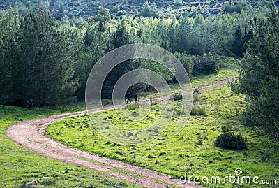 Group of unrecognised people hiking on a rural road in the forest, People active. Healthy lifestyle Stock Photo
