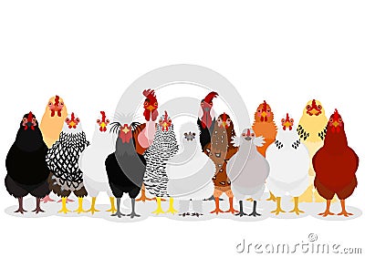 Various chicken group Vector Illustration