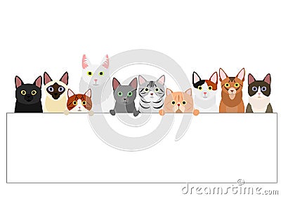 Group of various cats with white board Vector Illustration