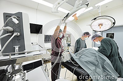 Group of veterinarian surgery in operation room Editorial Stock Photo