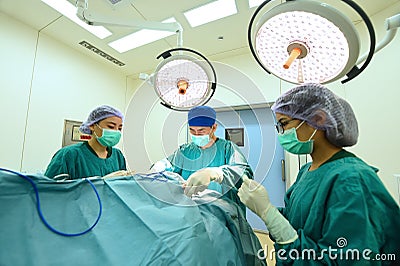 Group of veterinarian surgery in operation room Editorial Stock Photo