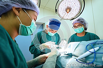 Group of veterinarian surgery in operation room Editorial Stock Photo