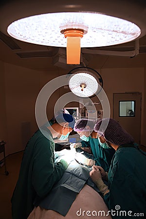 Group of veterinarian surgery in operation room Editorial Stock Photo