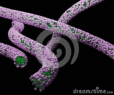 wormlike micelles isolated black background Stock Photo