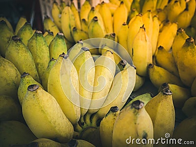 Group of yellow cultivated banana, ripe cultivated banana call Kluai Nam Wa in Thai. Stock Photo