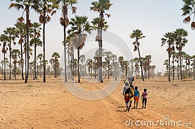 Group of young African walking with buckets through the palm trees Editorial Stock Photo