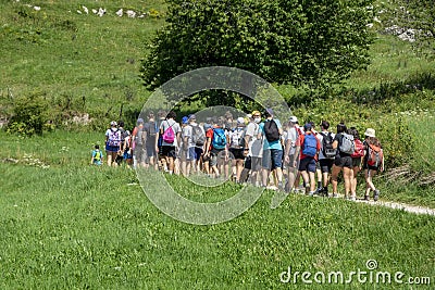 Group of young backpackers climbs a mountain trail Editorial Stock Photo